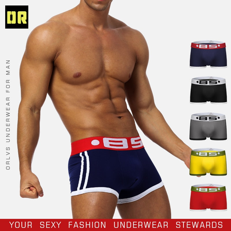 2pcs/lot BS Cotton Boxershorts Men Comforable Panties Set трусы мужские боксеры Gay Sexy Underwear Man Boxer 5Color Free Shiping