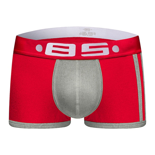 2pcs/lot BS Cotton Boxershorts Men Comforable Panties Set трусы мужские боксеры Gay Sexy Underwear Man Boxer 5Color Free Shiping